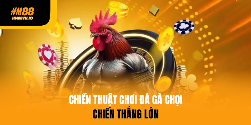 Cá cược đá gà chọi tại HM88 - Lựa chọn số 1 châu Á Bật mí chiến thuật chơi đá gà chọi hiệu quả