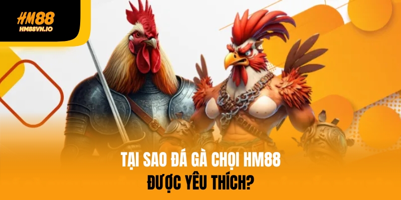 Cá cược đá gà chọi tại HM88 - Lựa chọn số 1 châu Á Giải thích tại sao đá gà chọi HM88 được yêu thích