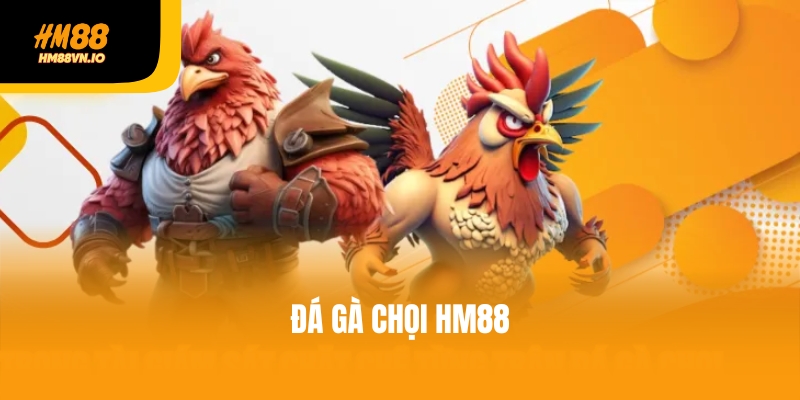 Cá cược đá gà chọi tại HM88 - Lựa chọn số 1 châu Á Cá cược đá gà chọi tại HM88 - Lựa chọn số 1 châu Á