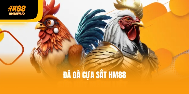 Điểm danh 4 loại cược đá gà cựa sắt hot nhất - Đừng bỏ lỡ Điểm danh 4 loại cược đá gà cựa sắt hot nhất - Đừng bỏ lỡ