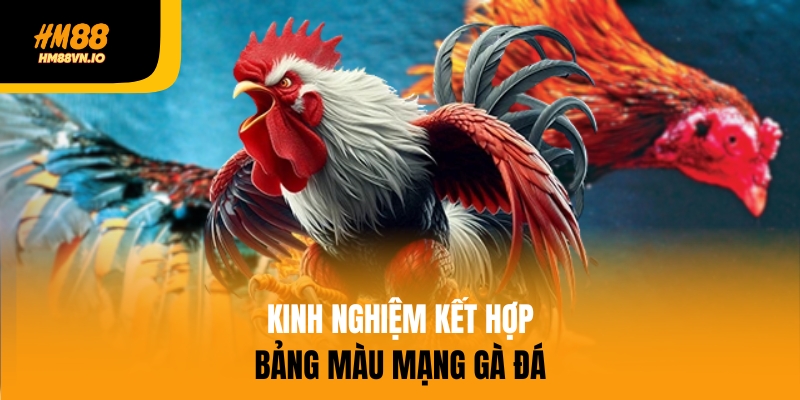 Kinh nghiệm kết hợp bảng màu mạng gà đá